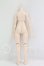 画像2: MDD/ベースボディ2.0 I-26-09-17-327-KD-ZI (2)