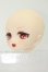 画像2: DDH-01/カスタムヘッド I-26-09-17-060-KD-ZI (2)