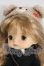 画像2: MONST DOLL/モンストドール：カスタム I-26-09-17-195-KD-ZI (2)