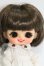 画像1: オビツ11ボディ/STO　DOLLヘッド I-26-09-24-102-KD-ZI (1)