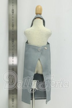 画像2: MSD/OF エプロン I-26-09-24-248-KD-ZI
