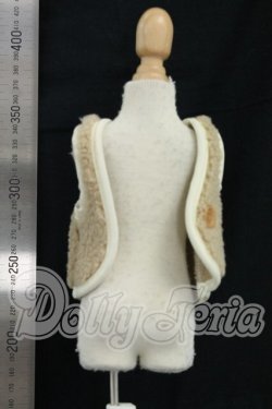 画像2: SDM＆MSD/OF:ベスト I-26-09-24-249-KD-ZI