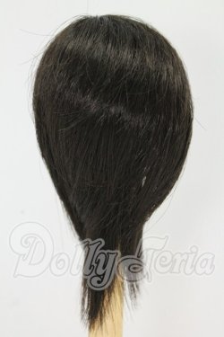 画像2: 6-7inch/ウィッグ I-26-09-24-342-KD-ZI