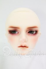 SDGrBOY/ウィリアムズヘッド　The Diligent Scholar　 I-26-09-24-339-KD-ZI