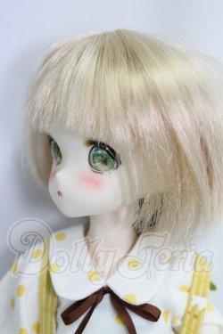 画像2: TinyFox/人見知りのワンちゃん リタ I-26-10-01-052-KD-ZI