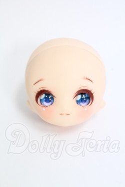 画像1: PARABOX/カスタムヘッド(PB 11-01) I-26-10-01-202-KD-ZI