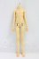 画像1: SPIRIT DOLL/61.5cm Jointed Torso Body Male Body I-26-10-08-002-KD-ZI (1)