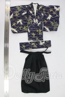 画像3: SDM＆MSD/OF:衣装セット I-26-10-08-277-KD-ZI