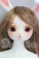 画像1: DEAR MINE/SAERA ~Pommier~ I-26-10-08-008-KD-ZI (1)