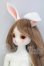 画像2: DEAR MINE/SAERA ~Pommier~ I-26-10-08-008-KD-ZI (2)