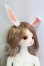 画像3: DEAR MINE/SAERA ~Pommier~ I-26-10-08-008-KD-ZI (3)
