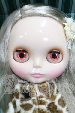 画像3: ネオブライス/カプチーノチャット I-26-10-15-104-KD-ZI
