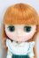 画像1: ミディブライス/チェリッシュミーオールウェイズ I-26-10-15-119-KD-ZI (1)
