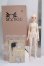 画像6: MyouDoll/1/4/Zuzana I-26-10-08-320-KD-ZI (6)