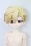 画像1: 謎塔猫匣/ ミタタロットシリーズ：国王 I-26-10-08-325-KD-ZI (1)