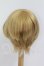 画像2: 9inch/ウィッグ I-26-10-08-162-KD-ZI (2)