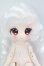 画像1: 甘絨のショーウィンドウ I-26-10-08-342-KD-ZI (1)