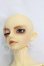 画像2: SD17BOY/レイズナー ザ・スカーフェイス ザ・シャドウ オブ キャプテンver I-26-10-15-173-KD-ZI (2)