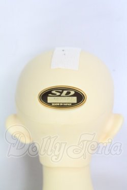 画像4: SD17BOY/レイズナー ザ・スカーフェイス ザ・シャドウ オブ キャプテンver I-26-10-15-173-KD-ZI