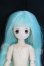 画像1: ピコニーモ1/12ボディ＆ヘッド I-26-10-22-126-KD-ZI (1)