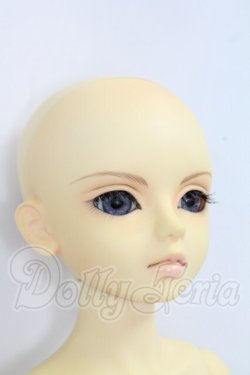 画像8: MSD/ヒューイ I-26-10-22-381-KD-ZI