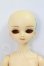 画像1: MSD/ミュウ I-26-10-22-363-KD-ZI (1)
