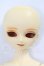 画像1: MSD/ミュウ I-26-10-22-374-KD-ZI (1)