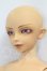 画像2: SD13BOY/フルチョイスF-17 I-26-10-22-377-KD-ZI (2)