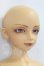 画像3: SD13BOY/フルチョイスF-17 I-26-10-22-377-KD-ZI (3)