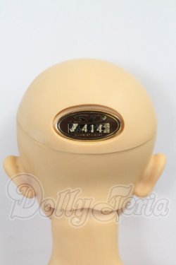 画像6: SD13BOY/フルチョイスF-17 I-26-10-22-377-KD-ZI
