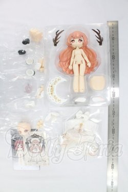 画像2: Sunlessスタジオ/秘境巡礼 I-26-10-29-226-KD-ZI
