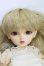画像1: SD/ナナ・キラヘッド I-26-10-22-365-KD-ZI (1)