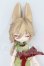 画像1: 不可食用人形 Inedible Doll/月飛び時間シリーズ梧秋 I-26-10-29-222-KD-ZI (1)