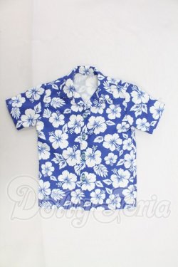 画像1: SDGrB＆SD13男の子/OF:トップス I-26-10-29-321-KD-ZI