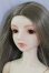 画像3: SD13G/F-13：フルチョイス U-24-04-17-216-NY-ZU