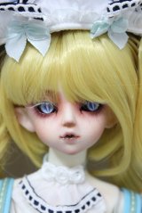 gem of doll/1/4 Dead maid nurse，Sig2r　fullset A-23-11-22-273-TN-ZA