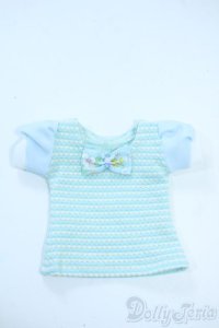 MSD/OF：TOPS Y-25-10-29-066-TN-ZY