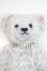 画像1: Steiff　teddybear aoyama2014 A-25-06-11-1094-TN-ZU (1)
