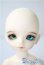 画像1: CROBI/Tori A-25-04-16-1026-TN-ZU (1)