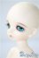 画像3: CROBI/Tori A-25-04-16-1026-TN-ZU