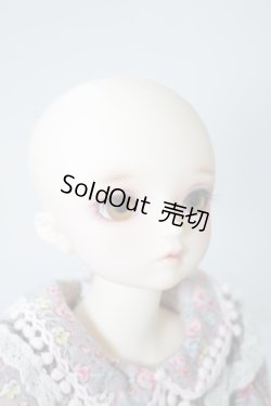 画像4: sdmidi女の子コーディネートF-52 U-24-01-10-212-TN-ZU