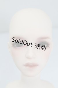 SDフルチョイスSD-F-Aアメジストヘッド U-24-03-20-203-TN-ZU