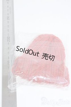 画像2: 【新品】SD/OF：ニットキャップ Y-25-08-27-209-TN-ZY