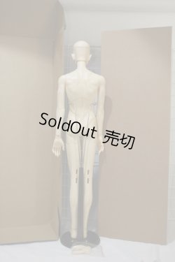 画像6: spiritdoll/ヘッド&male eleganceボディ Y-24-01-24-001-TN-ZY