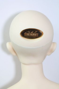 画像7: SDGｒB/フルチョイスF-36 U-24-04-10-207-TN-ZU