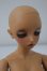 画像4: DOLLFIE ICON/terra romantic grance ver. U-23-11-8-214-TN-ZU