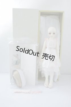 画像7: SDM/ワンオフモデルF-50Ciera様里限定 U-23-11-8-206-TN-ZU