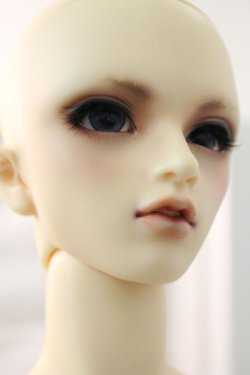 画像3: SDGrB/ワンオフヒースきのこ様 U-24-03-27-219-TN-ZU