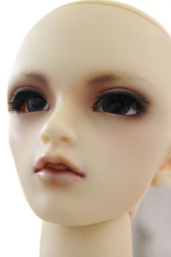 画像4: SDGrB/ワンオフヒースきのこ様 U-24-03-27-219-TN-ZU