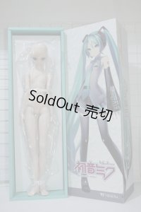 DD /初音ミク Y-24-03-27-051-NY-ZY